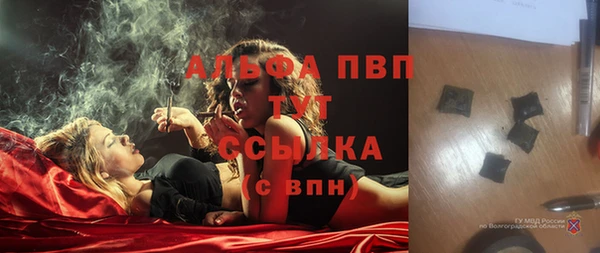 ГАЛЛЮЦИНОГЕННЫЕ ГРИБЫ Строитель
