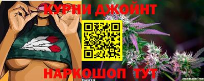 мяу мяу мука Кулебаки