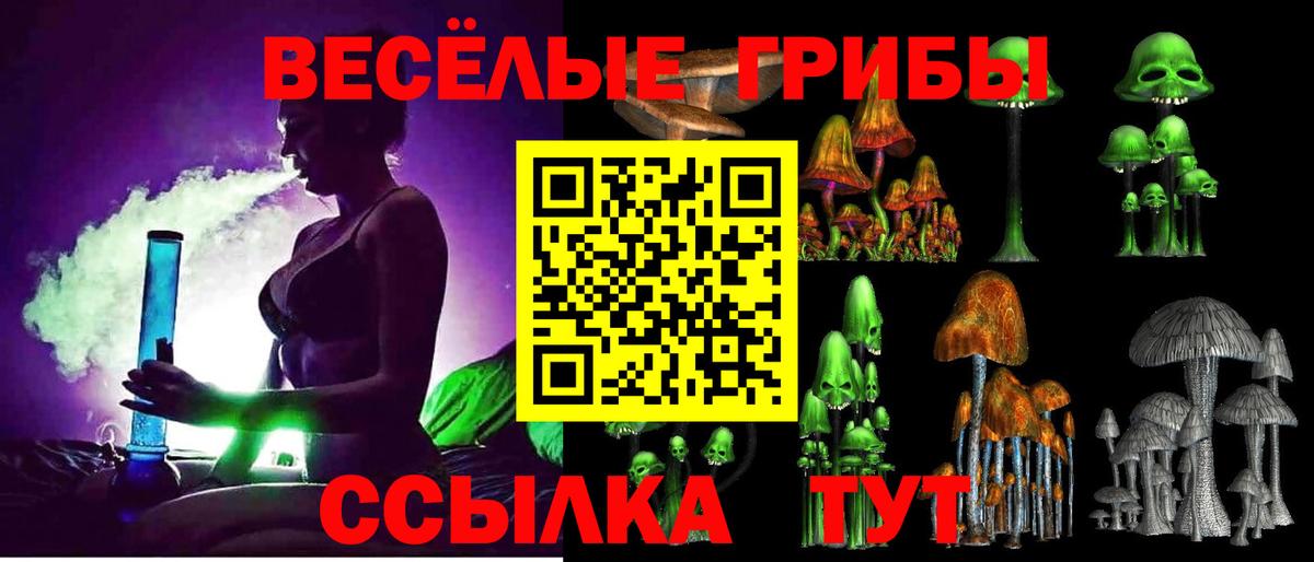 Псилоцибиновые грибы Psilocybe  Вход с VPN  Снежинск 